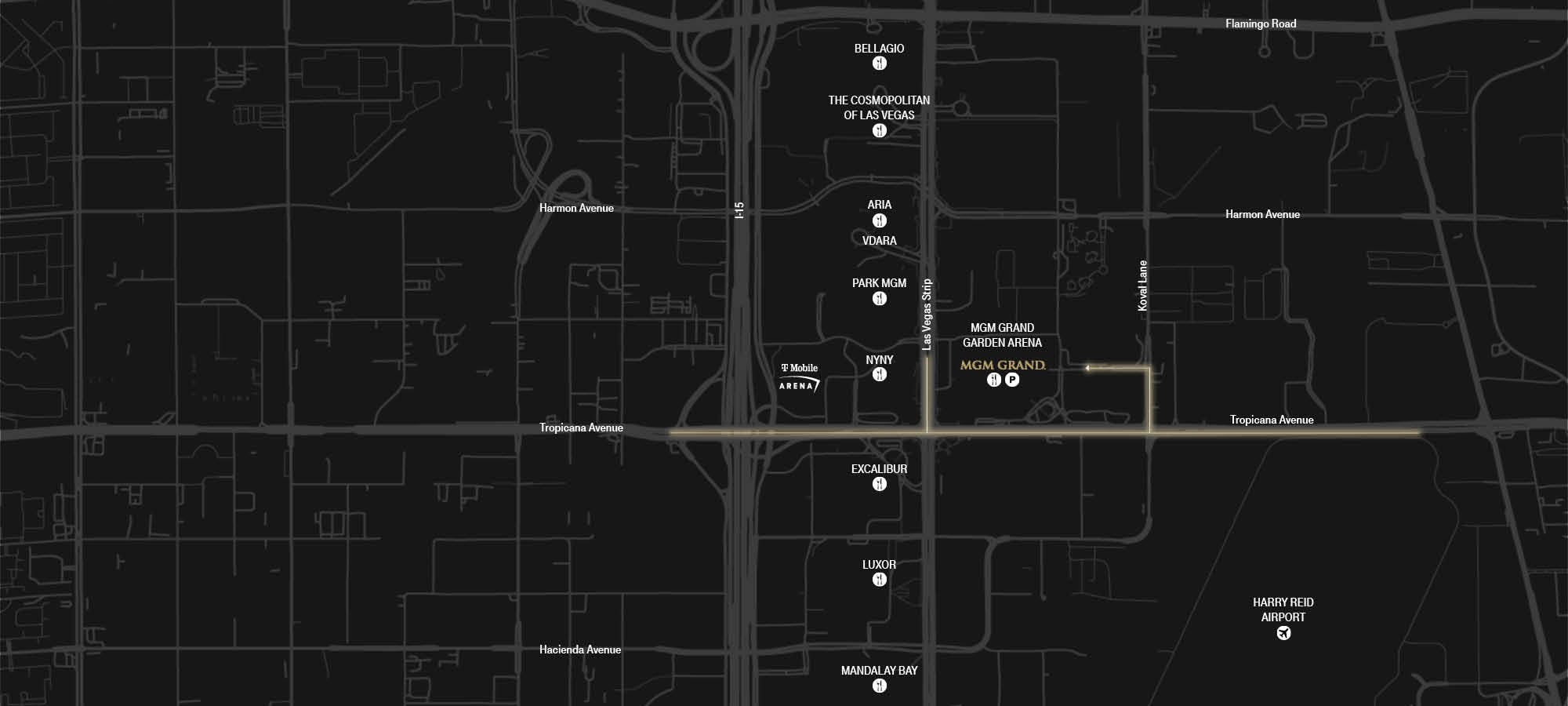 Google Maps Screenshot of MGM Grand Garden Arena location